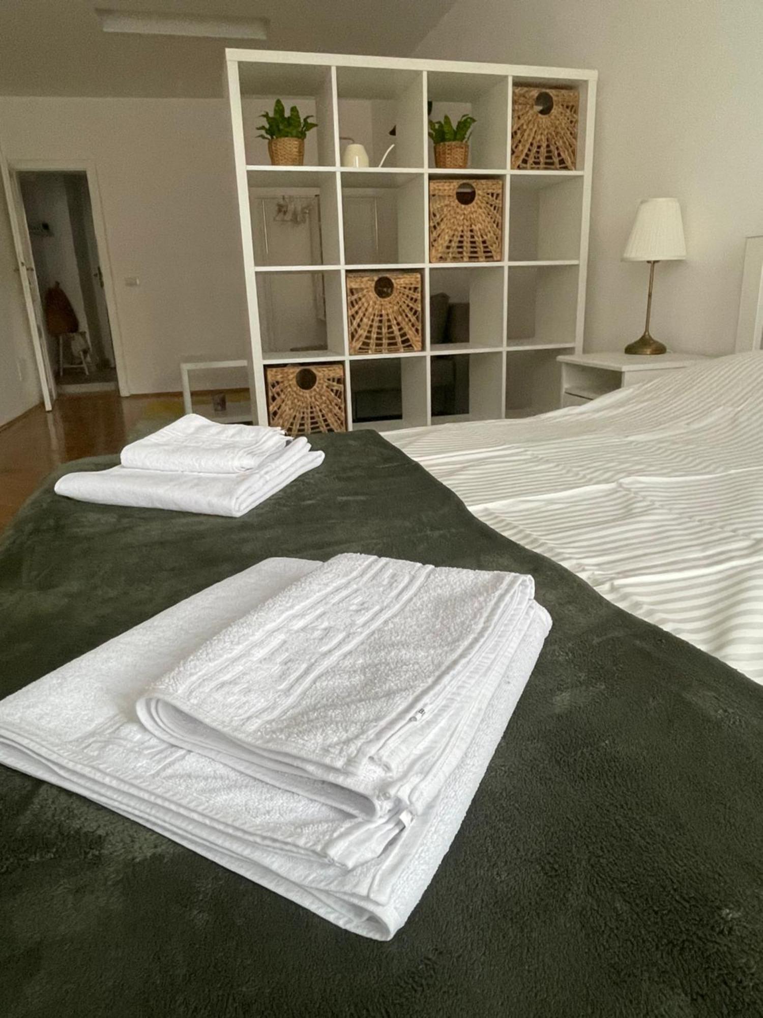 בראשוב Cozy Stay מראה חיצוני תמונה